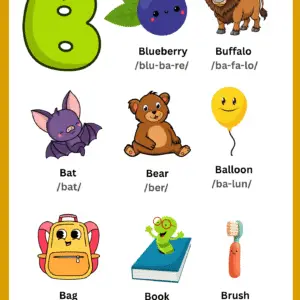B Vocabulary Learning Chart