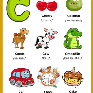 C Vocabulary Learning Chart
