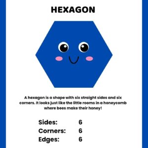 Hexagon Colorful 2D Geometric Shapes Vocabulary Worksheet