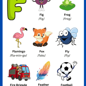 A colorful Letter F Vocabulary Learning Chart featuring illustrations of Fig, Frog, Flamingo, Fox, Fly, Fire Brigade, Feather, and Football with phonetic guides.