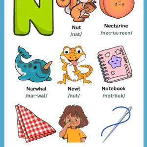 A colorful Letter N Vocabulary Learning Chart featuring illustrations of a Nut, Nectarine, Narwhal, Newt, Notebook, Napkin, Nose, and a Needle.
