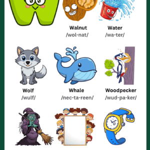 A colorful Letter W Vocabulary Learning Chart for kids featuring illustrations of Walnut, Water, Wolf, Whale, Woodpecker, Witch, Whiteboard, and a Wristwatch.